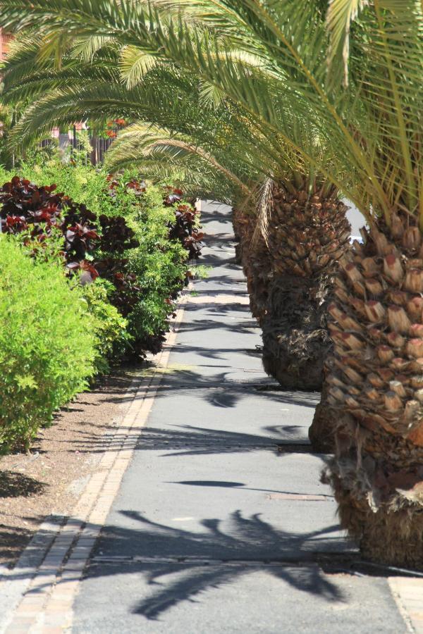 Spacious Apartment With Large Private Garden In Palm Mar Eksteriør bilde